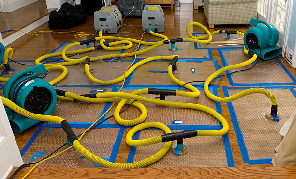 Professional Crawl Space Water Removal technician working in Arnold, CA
